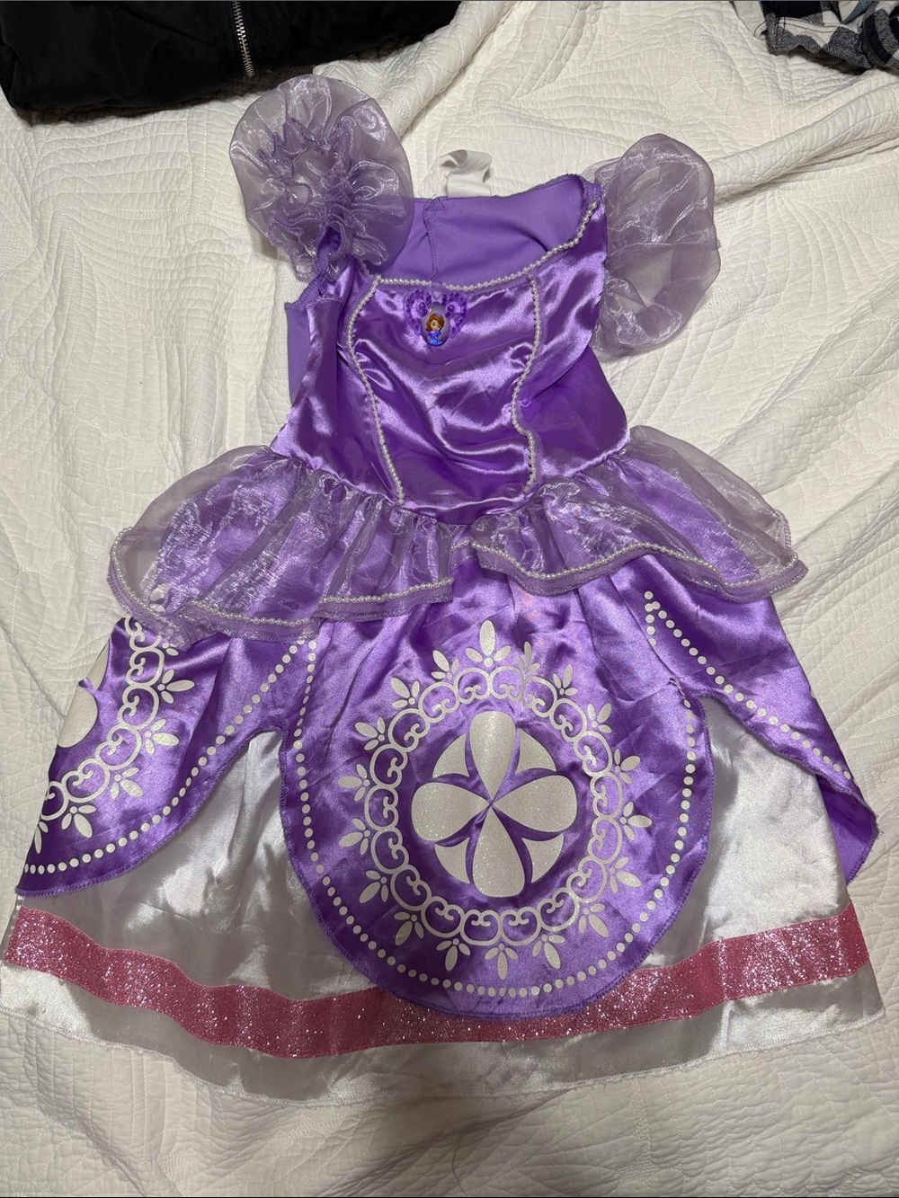 Princess Sophia Disney  Purple Satin Princess Dress-Up costume